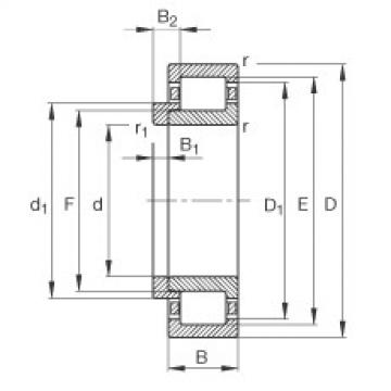 Bantalan NJ2206-E-TVP2 + HJ2206-E FAG