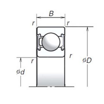 Bantalan 6303T1XVV NSK