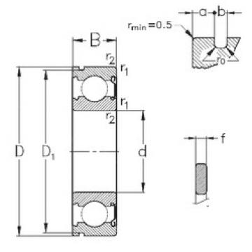 Bantalan 6305-Z-NR NKE