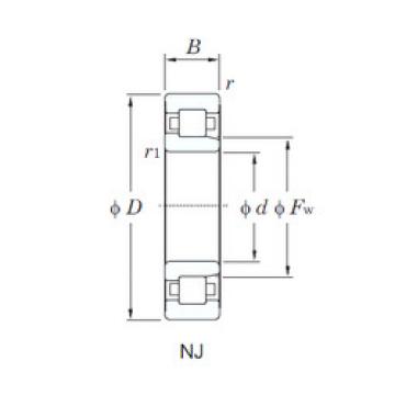 Bantalan NJ215R KOYO