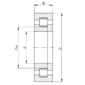 Bantalan NUP1013 CX