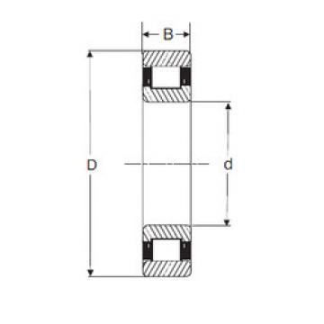 Bantalan RXLS 4.1/2 SIGMA