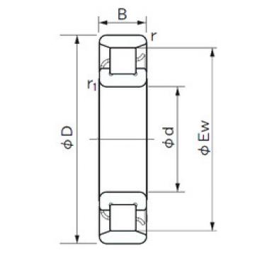 Bantalan N 1019 NACHI