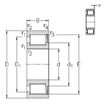 Bantalan NCF3032-V NKE