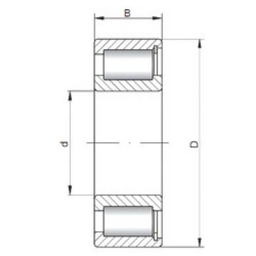 Bantalan NCF2996 V ISO