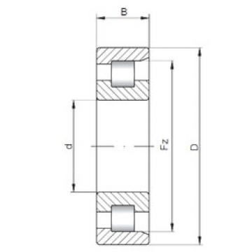 Bantalan NF348 ISO