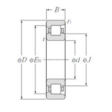 Bantalan NF330 NTN