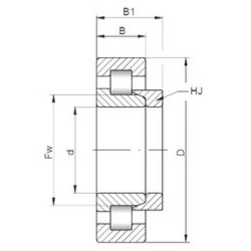 Bantalan NH2206 ISO