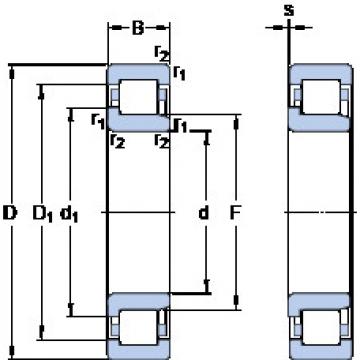 Bantalan NJ 248 MA SKF