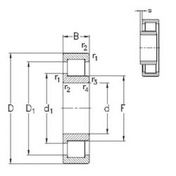 Bantalan NJ210-E-TVP3 NKE