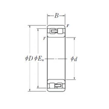 Bantalan NN 3018 NSK