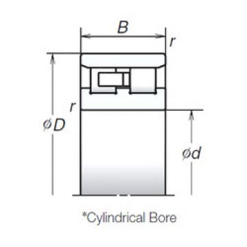 Bantalan NN3019ZTB NSK