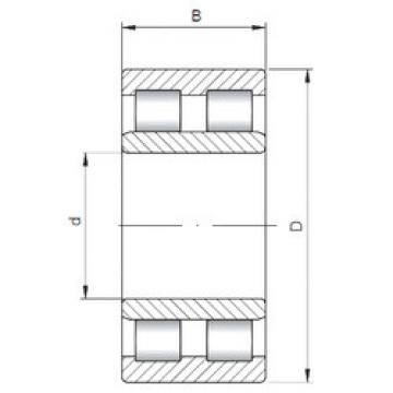 Bantalan NNU6022 ISO