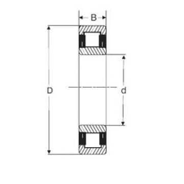 Bantalan NU 204 SIGMA