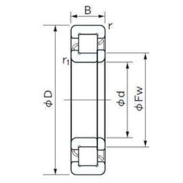 Bantalan NUP 1010 NACHI