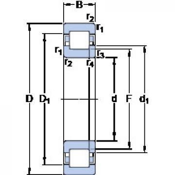 Bantalan NUP 205 ECP SKF