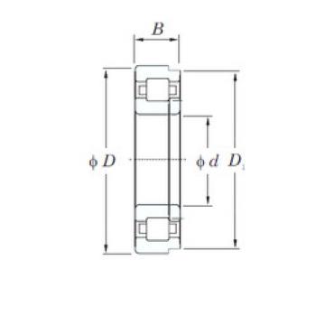 Bantalan NUP1064 KOYO