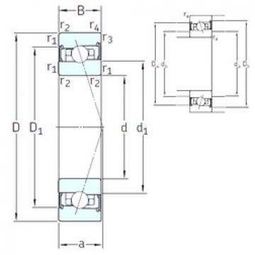 Bantalan HX110 /S 7CE3 SNFA