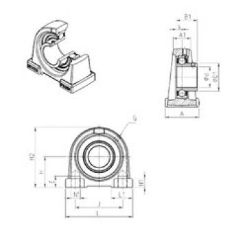 Bantalan USPAE207 SNR