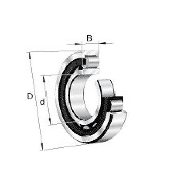 NU217-E-M1 FAG Cylindrical roller bearing