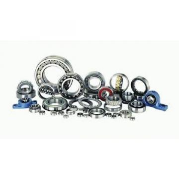 FAG Bearing 16006.2ZR