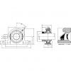 PWV-1 1/4-2RS NTN SPHERICAL ROLLER NTN JAPAN BEARING