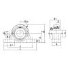 UELP-1.1/4S NTN SPHERICAL ROLLER NTN JAPAN BEARING #5 small image