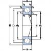 Bantalan 7005 ACD/P4A SKF