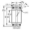 Bantalan GE100ES-2RS AST