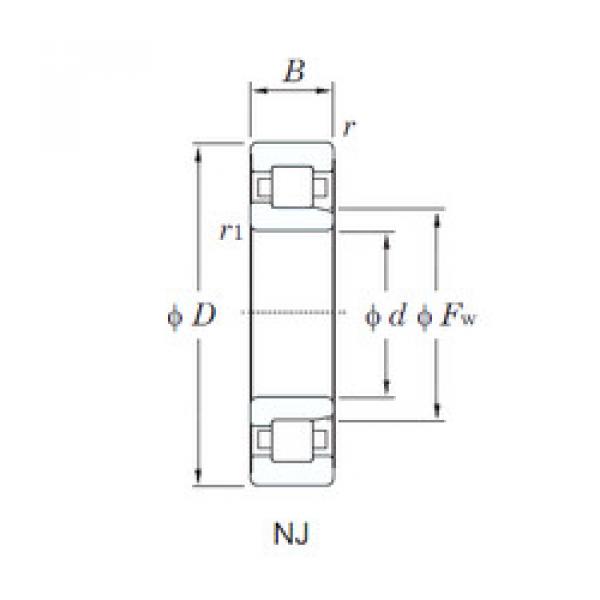 Bantalan NJ215R KOYO #1 image