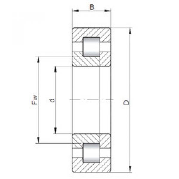 Bantalan NUP1013 CX #1 image