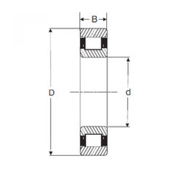 Bantalan RXLS 4.1/2 SIGMA #1 image