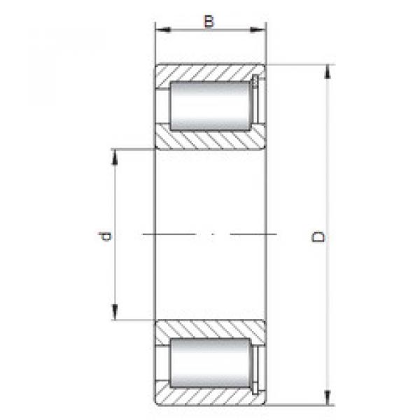 Bantalan NCF2952 V CX #1 image