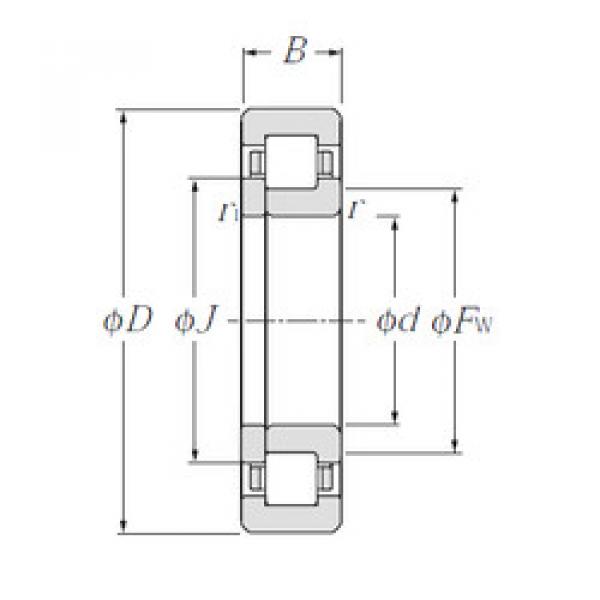 Bantalan NUP2207E CYSD #1 image